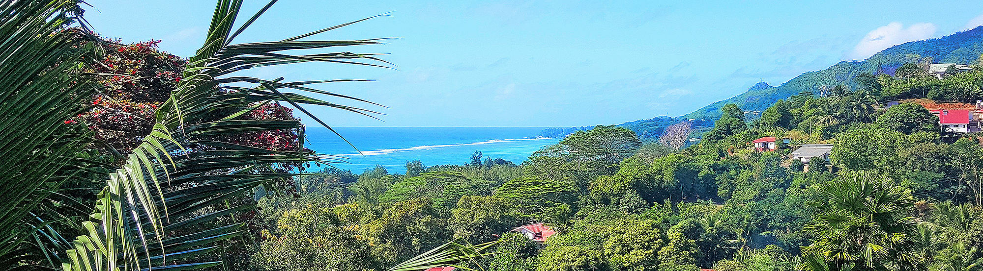 Maison Oasis Reef Estate Anse aux Pins Exteriér fotografie